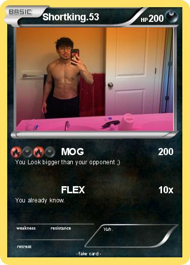 Pokemon Shortking.53