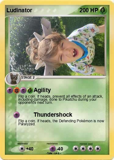 Pokemon Ludinator