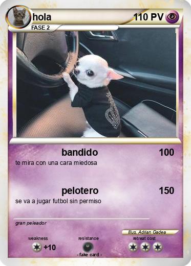 Pokemon hola
