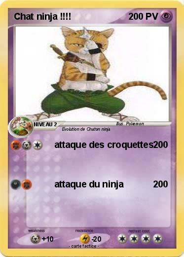 Pokemon Chat ninja !!!!