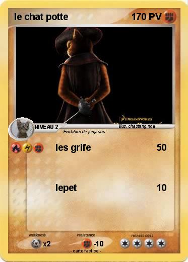 Pokemon le chat potte