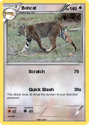 Pokemon Bobcat