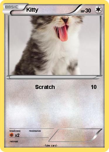 Pokemon Kitty
