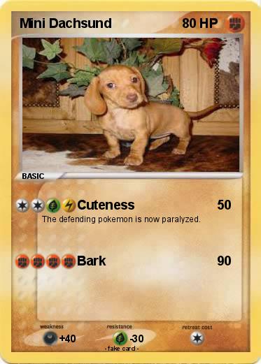 Pokemon Mini Dachsund