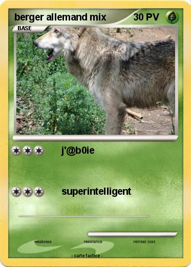 Pokemon berger allemand mix