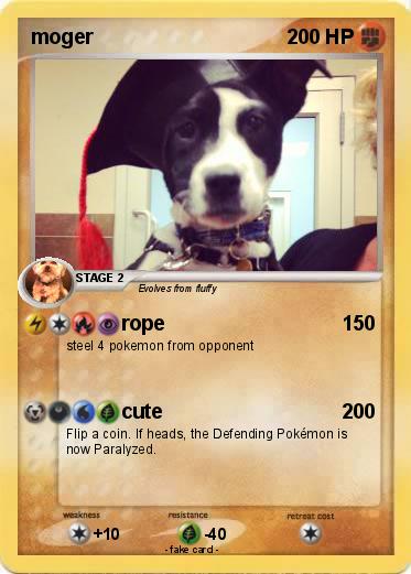 Pokemon moger