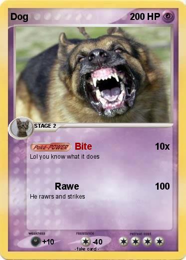 Pokemon Dog