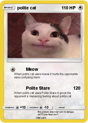 Pokemon polite cat
