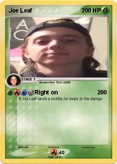 Pokemon Joe Leaf