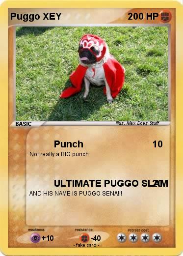 Pokemon Puggo XEY