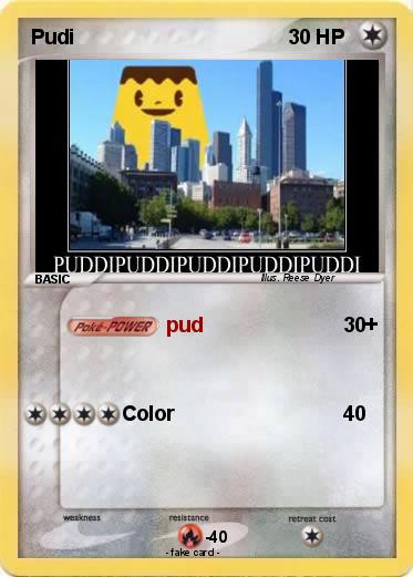 Pokemon Pudi