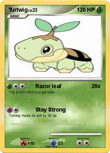 Pokemon Turtwig