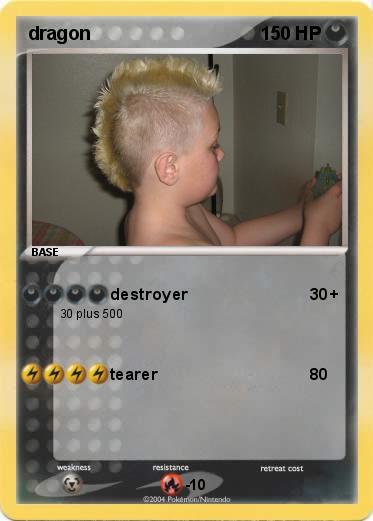 Pokemon dragon 