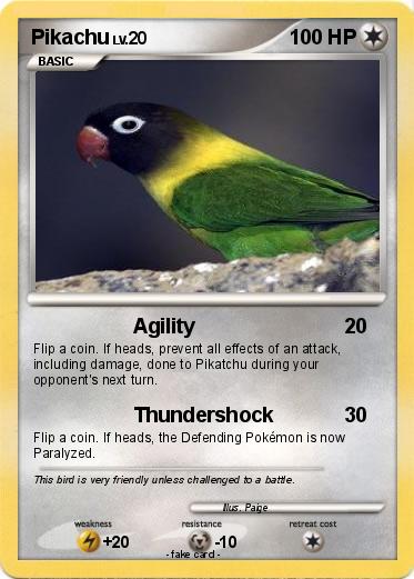 Pokemon Flying Color