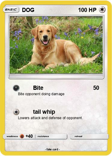 Pokemon DOG