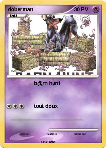 Pokemon doberman