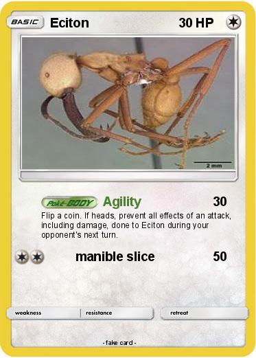 Pokemon Eciton