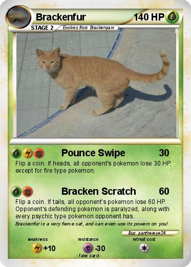 Pokemon Brackenfur