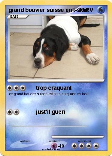 Pokemon grand bouvier suisse en t-shirt