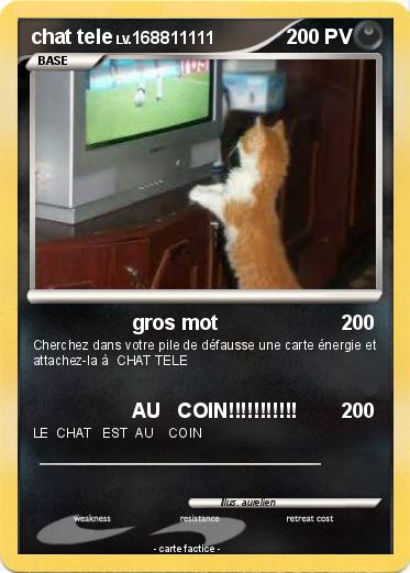 Pokemon chat tele