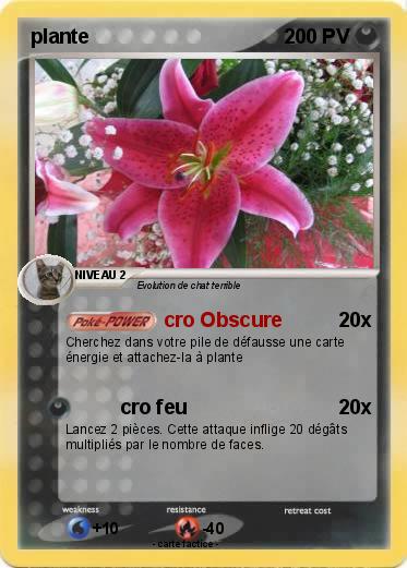 Pokemon plante