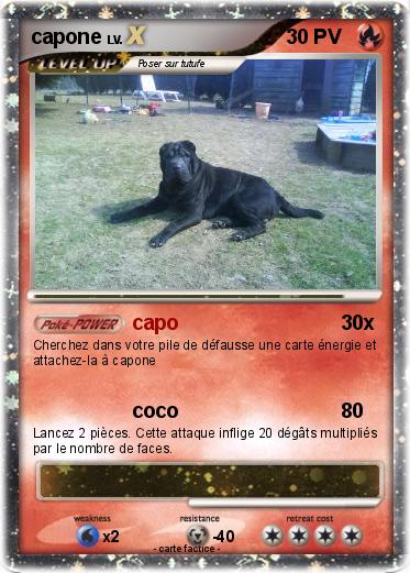 Pokemon capone