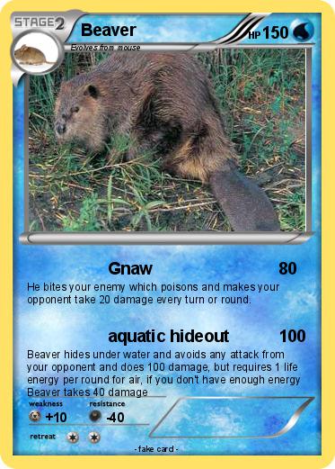 Pokemon Beaver