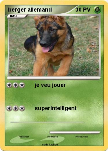 Pokemon berger allemand