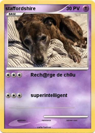 Pokemon staffordshire