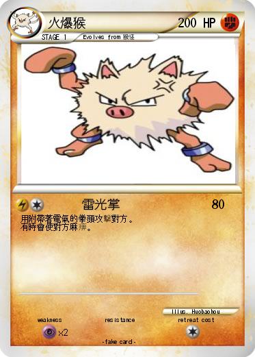 Pokemon 火爆猴