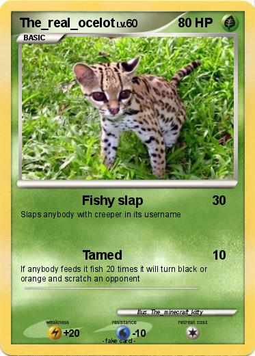 Pokemon The_real_ocelot