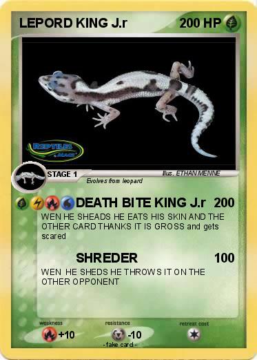 Pokemon LEPORD KING J.r