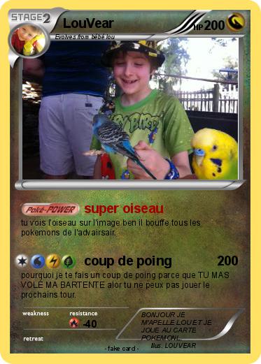Pokemon LouVear
