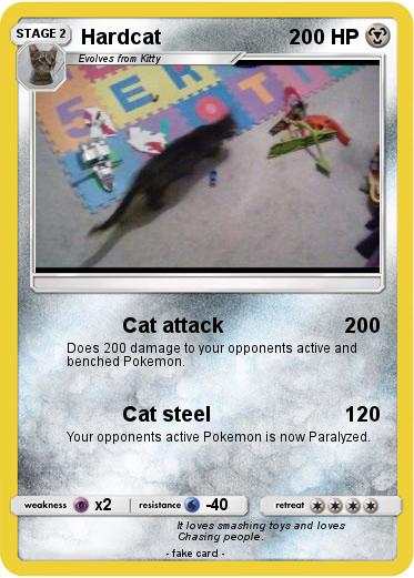 Pokemon Hardcat