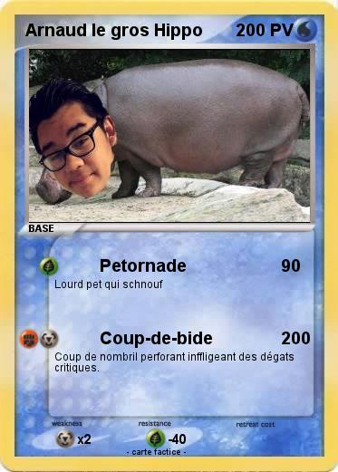 Pokemon Arnaud le gros Hippo