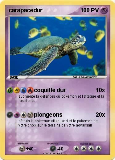 Pokemon carapacedur