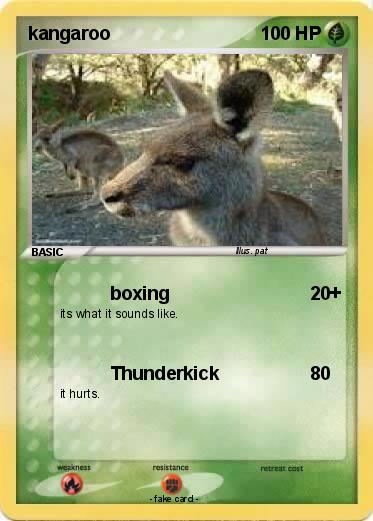 Pokemon kangaroo