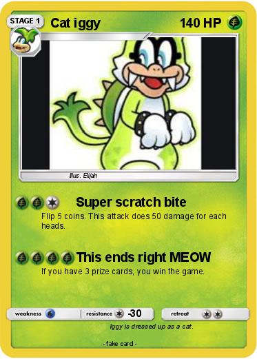 Pokemon Cat iggy