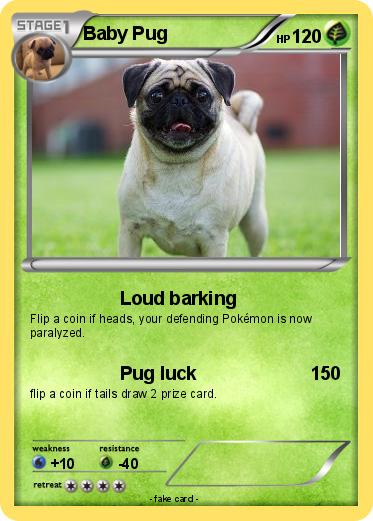 Pokemon Baby Pug