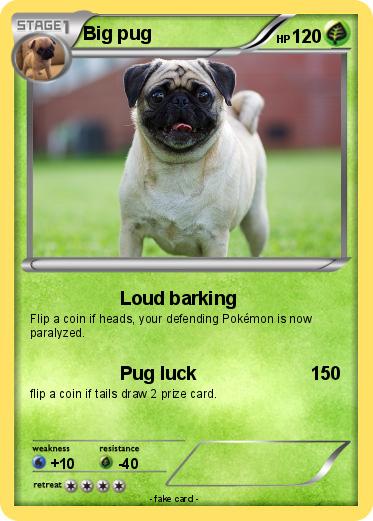 Pokemon Big pug