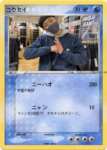 Pokemon ヨウセイ