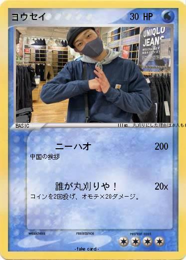 Pokemon ヨウセイ
