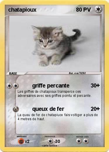 Pokemon chatapioux