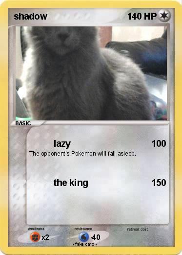 Pokemon shadow
