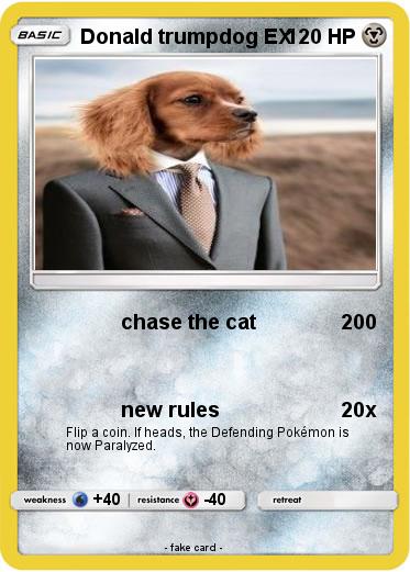Pokemon Donald trumpdog EX