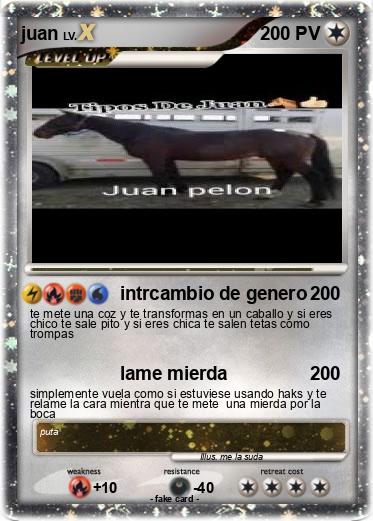 Pokemon juan