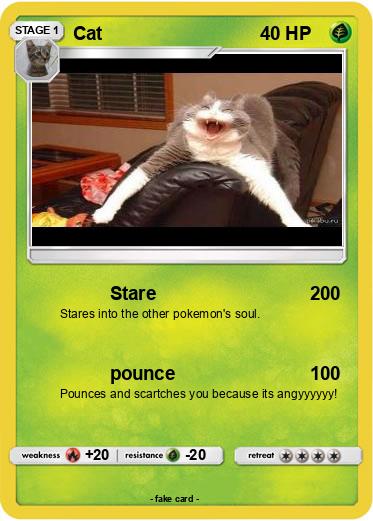 Pokemon Cat