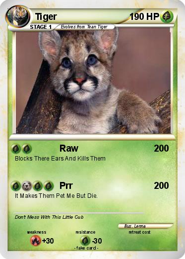 Pokemon Tiger