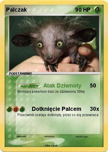 Pokemon Palczak
