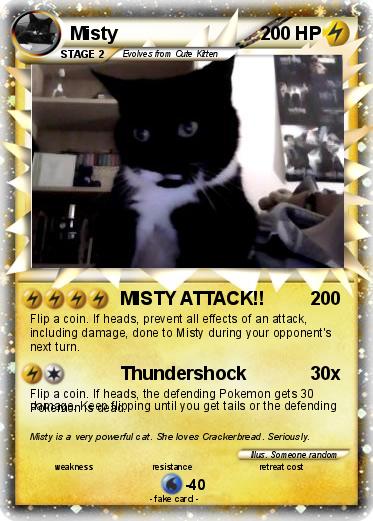 Pokemon Misty